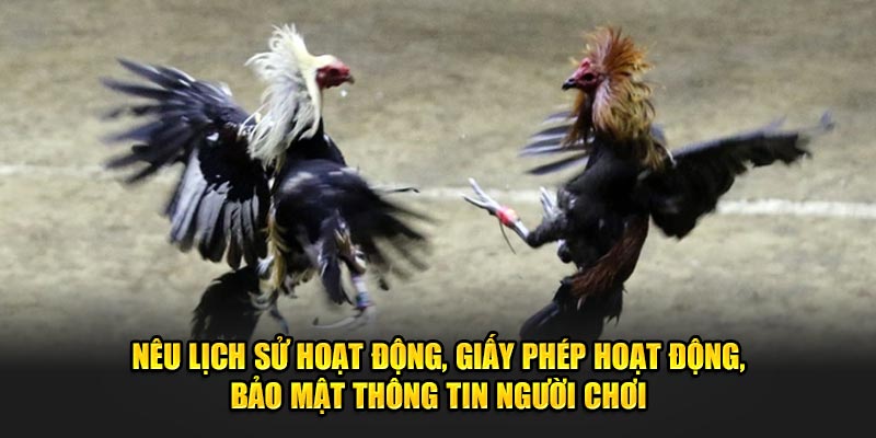 Nêu lịch sử, giấy phép hoạt động, bảo mật thông tin người chơi đá gà Banca30