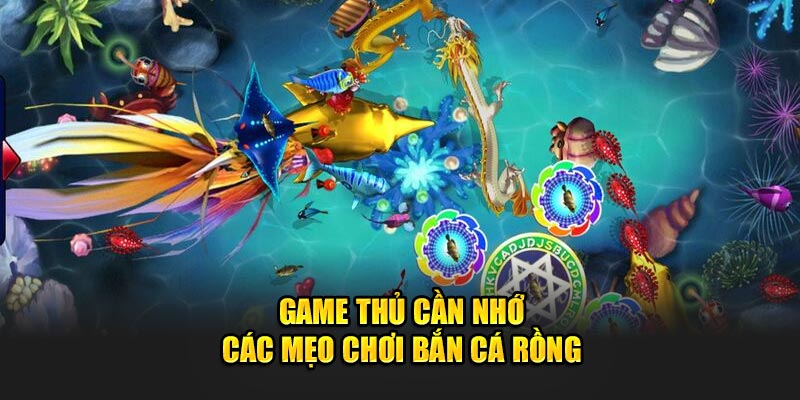 Mẹo chơi bắn cá rồng